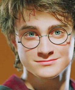 Harry Potter Daniel Radcliffe paint by numbers