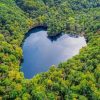 Heart Shaped River in Japan paint by numbers