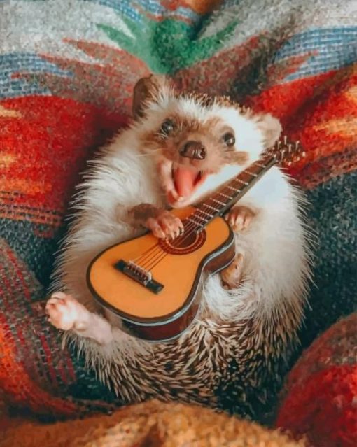 Hedgehog Playing Guitar paint by numbers