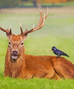 Horned Deer With Crow paint by number