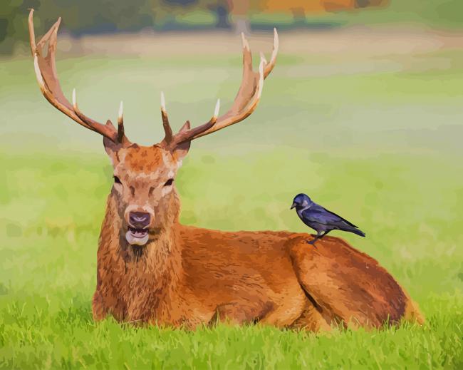 Horned Deer With Crow paint by number