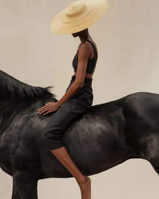 Horse Model Fashion paint by numbers