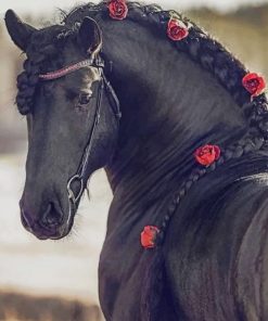 Horse With Braided Mane Paint By Numbers