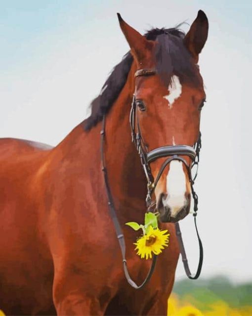 Horse With Sunflowers paint by numbers