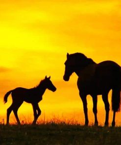 Horses Silhouette paint By numbers
