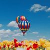 Hot Air Balloons Tulip Flowers paint by number