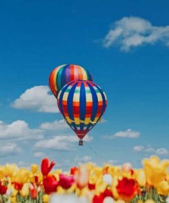 Hot Air Balloons Tulip Flowers paint by number