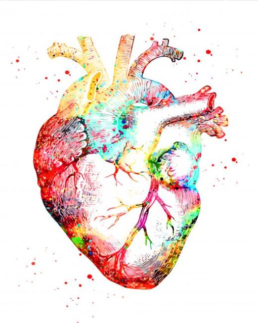 human heart art paint by numbers
