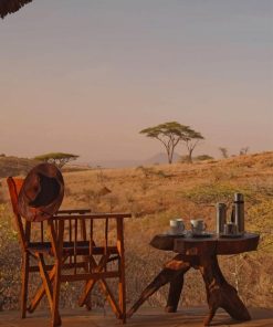 kenya Travel Africa Safari paint by numbers