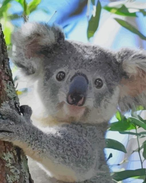 Koala On Tree paint by numbers