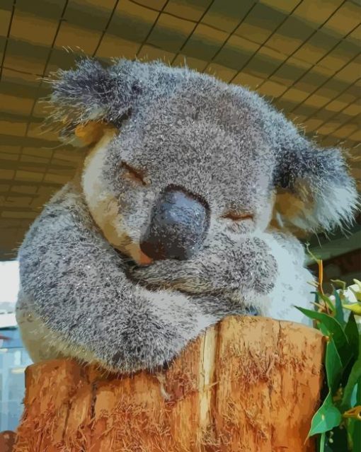 koala Sleeping paint by numbers