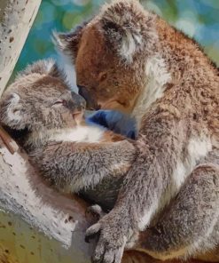 Koala With Her Baby paint by numbers