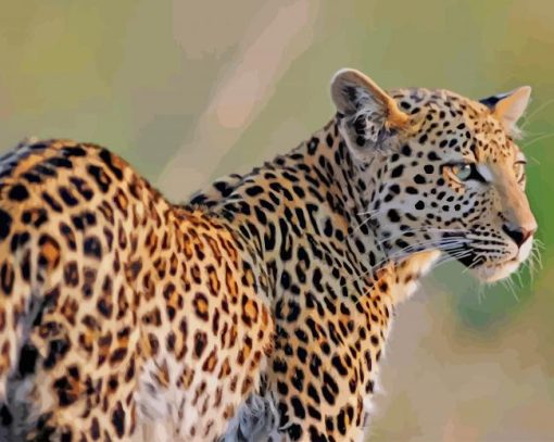 Leopard Animal paint by numbers