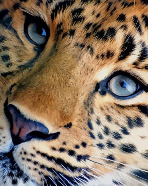 Leopard Portrait paint by numbers