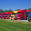 Line Of Colorful Trucks paint by numbers