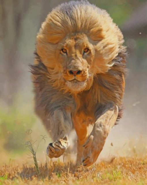 Lion Running paint by numbers