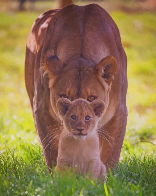 Lioness With Her Baby paint by numbers