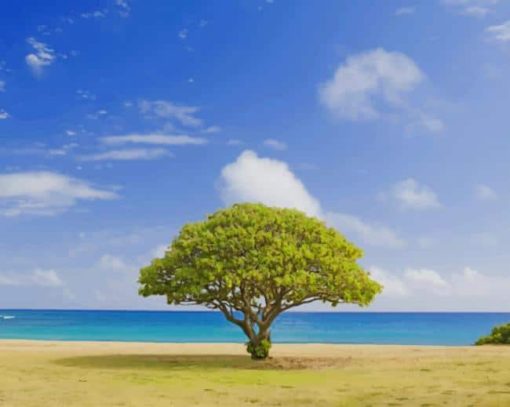 Lone Tree In The Beach paint by numbers