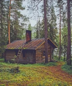 lonely cabin in woods paint by numbers