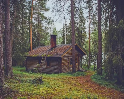 lonely cabin in woods paint by numbers