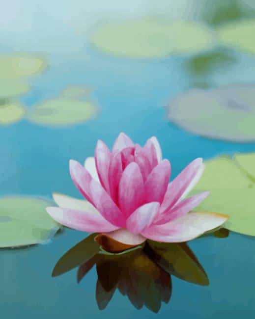 Lotus In Water paint by numbers