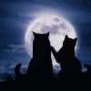 Lovely Cats Silhouette paint by number