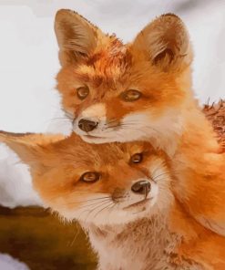 Lovely Couple Fox paint by numbers
