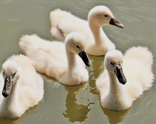 Lovely Swan Family paint by number