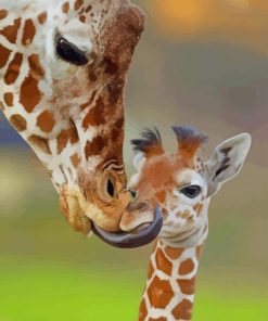 Lovely Mum Giraffe and Her Little Child paint by numbers