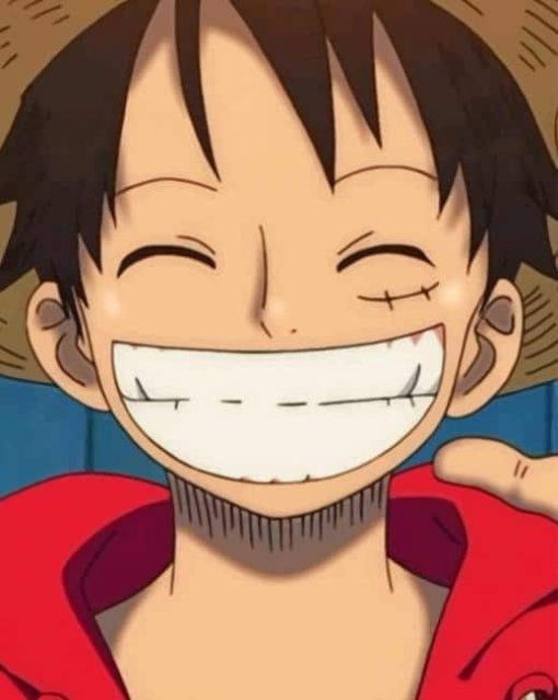 Luffy Smiling One Piece paint by numbers