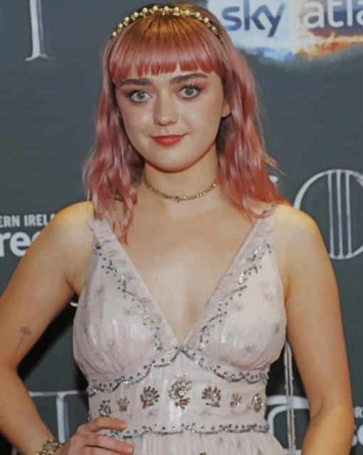 maisie williams paint by number