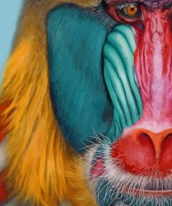 Mandrill Monkey paint by numbers