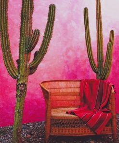 mexican pink wall with cactus paint by number