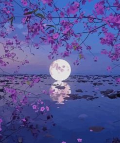 Beautiful Moon Reflection paint by number