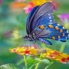 Natural Butterfly paint by numbers