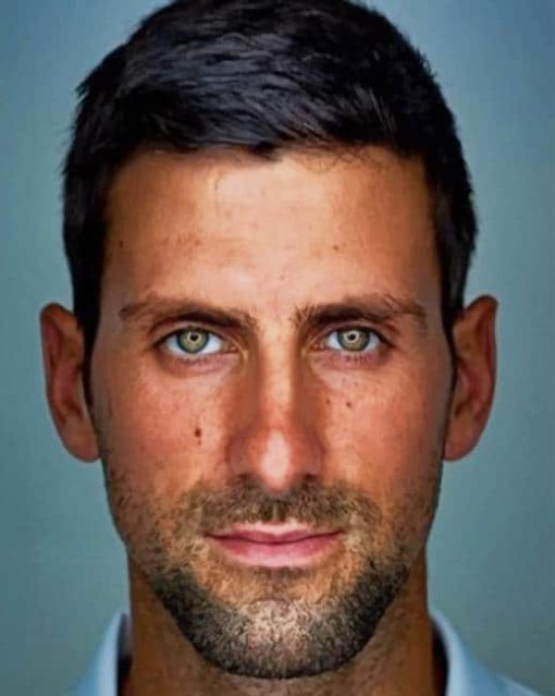 Novak Djokovic Paint By Numbers
