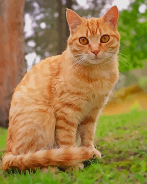 Orange Tabby Cat Sitting paint by numbers