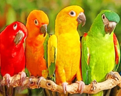Colorful Parrots On The Tree paint by numbers