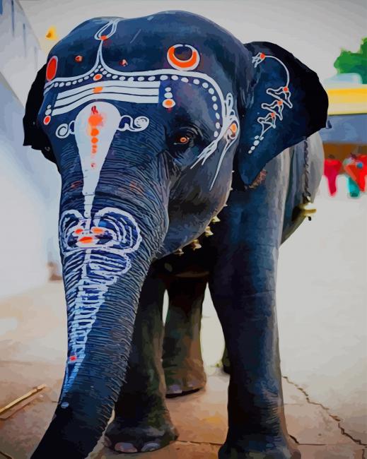 Painted Indian Elephant paint by numbers
