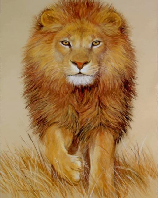 Painting of Lion paint by numbers