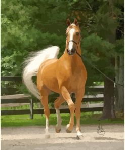 Palomino Gold Horse paint by numbers
