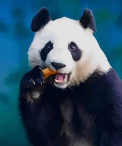 Panda Eating Food paint by numbers