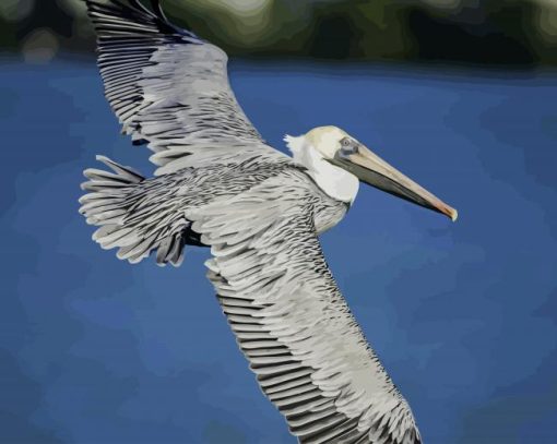 Pelican Flying Wings paint by numbers