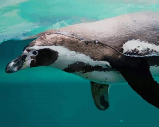 Penguin Swimming paint by number