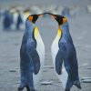 Penguins Love paint by number