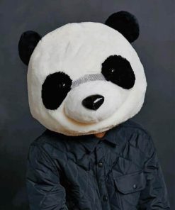 Person wearing Panda's mask painting by numbers