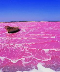 Pink Lake Retba paint by number