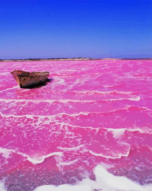 Pink Lake Retba paint by number