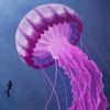 Beautiful Pink Jellyfish paint by number