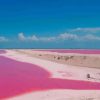 Pink Lake In Mexico paint by numbers